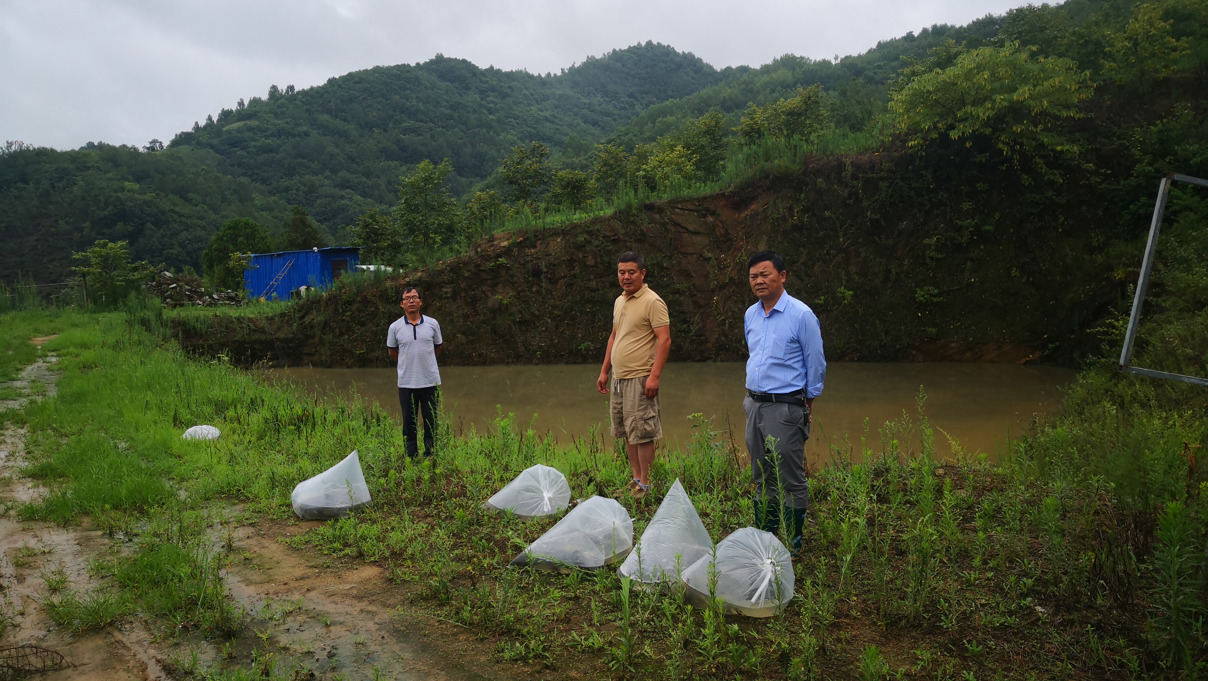 城关镇平安村：村干部积极行动 投放鱼苗助力生态渔业发展
