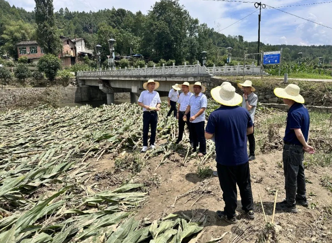 汉阴县双河口镇：政策性农业保险让群众吃上“定心丸”