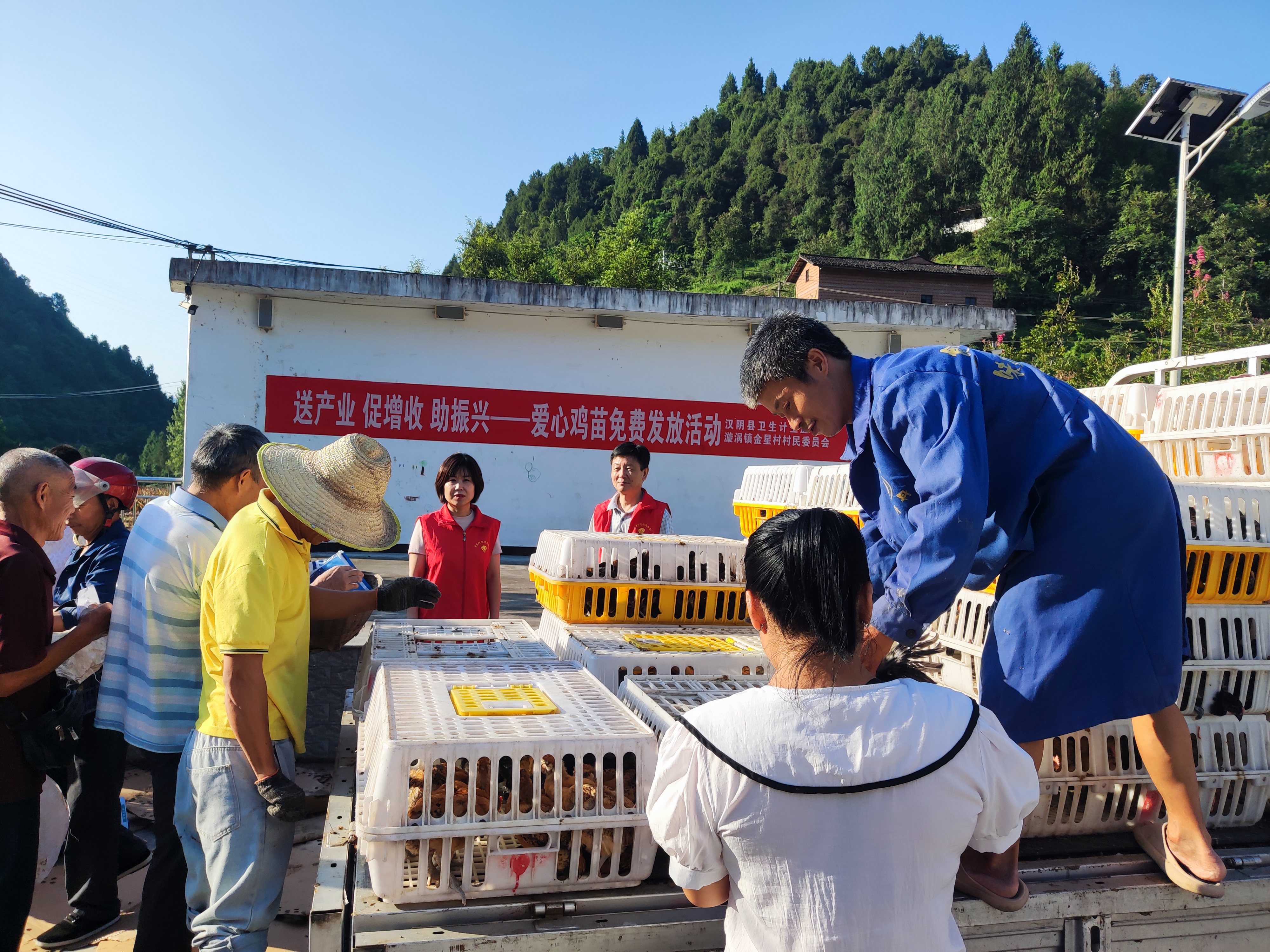 汉阴县卫生计生监督所开展爱心鸡苗免费发放活动