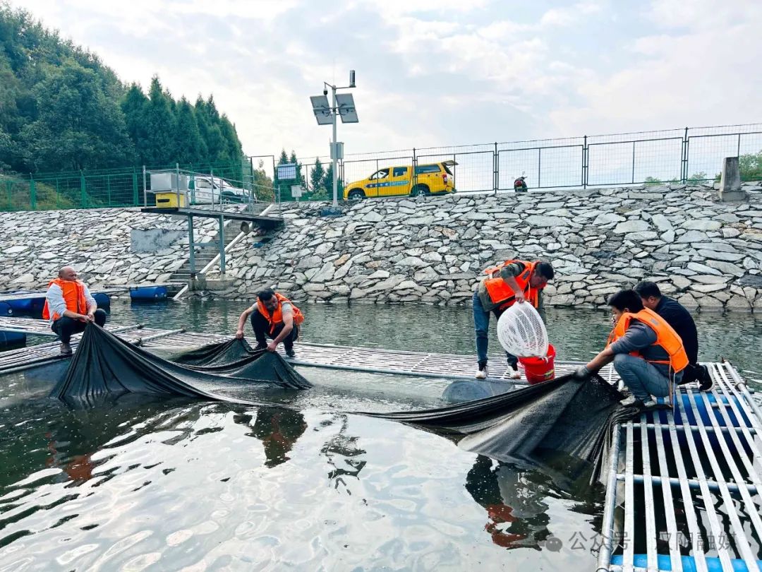 汉阴：金秋时节起鱼忙 企业加工销售旺