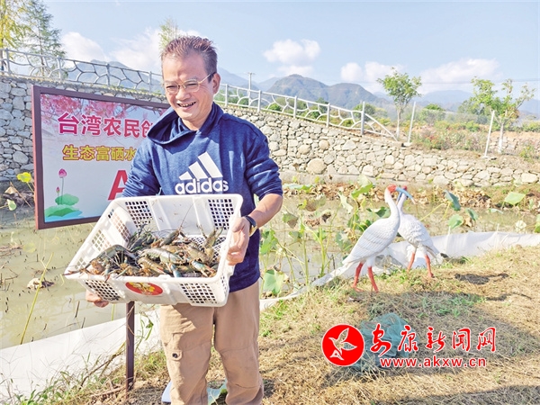 小荷塘养出“致富虾”