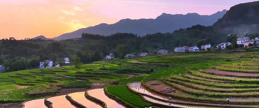 凤堰梯田汩汩清流润田野 治水智慧传千年