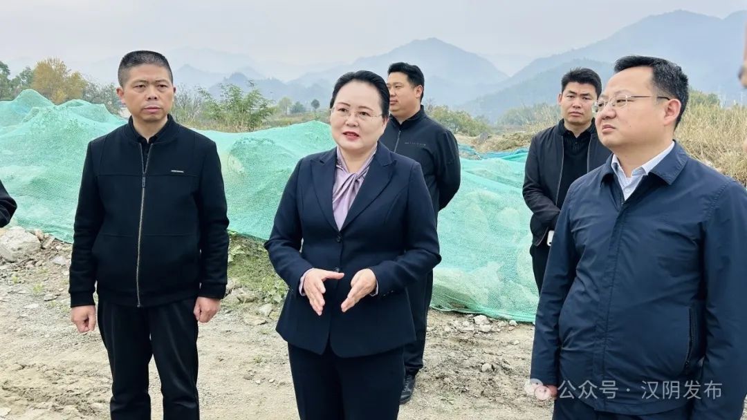 汉阴：县委书记刘飞霞调研生态环保工作