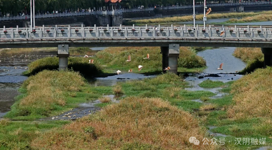 汉阴多举措做好月河流域污染防治 保护生态惠民生