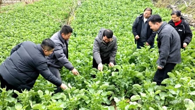 陕煤物资集团助力汉阴抓春耕促生产