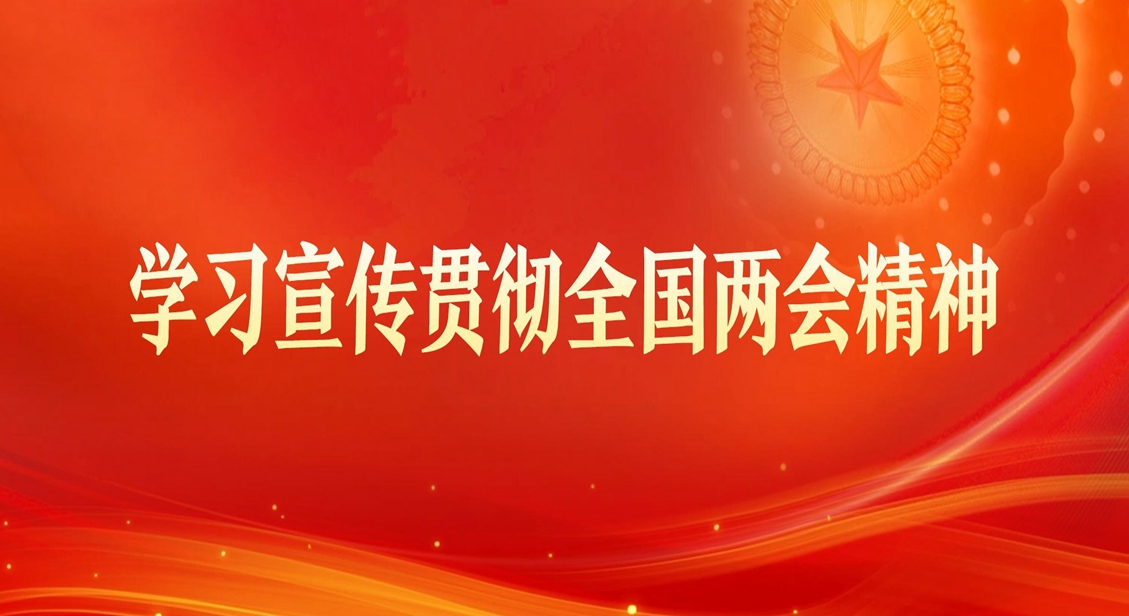 学习宣传贯彻全国两会精神