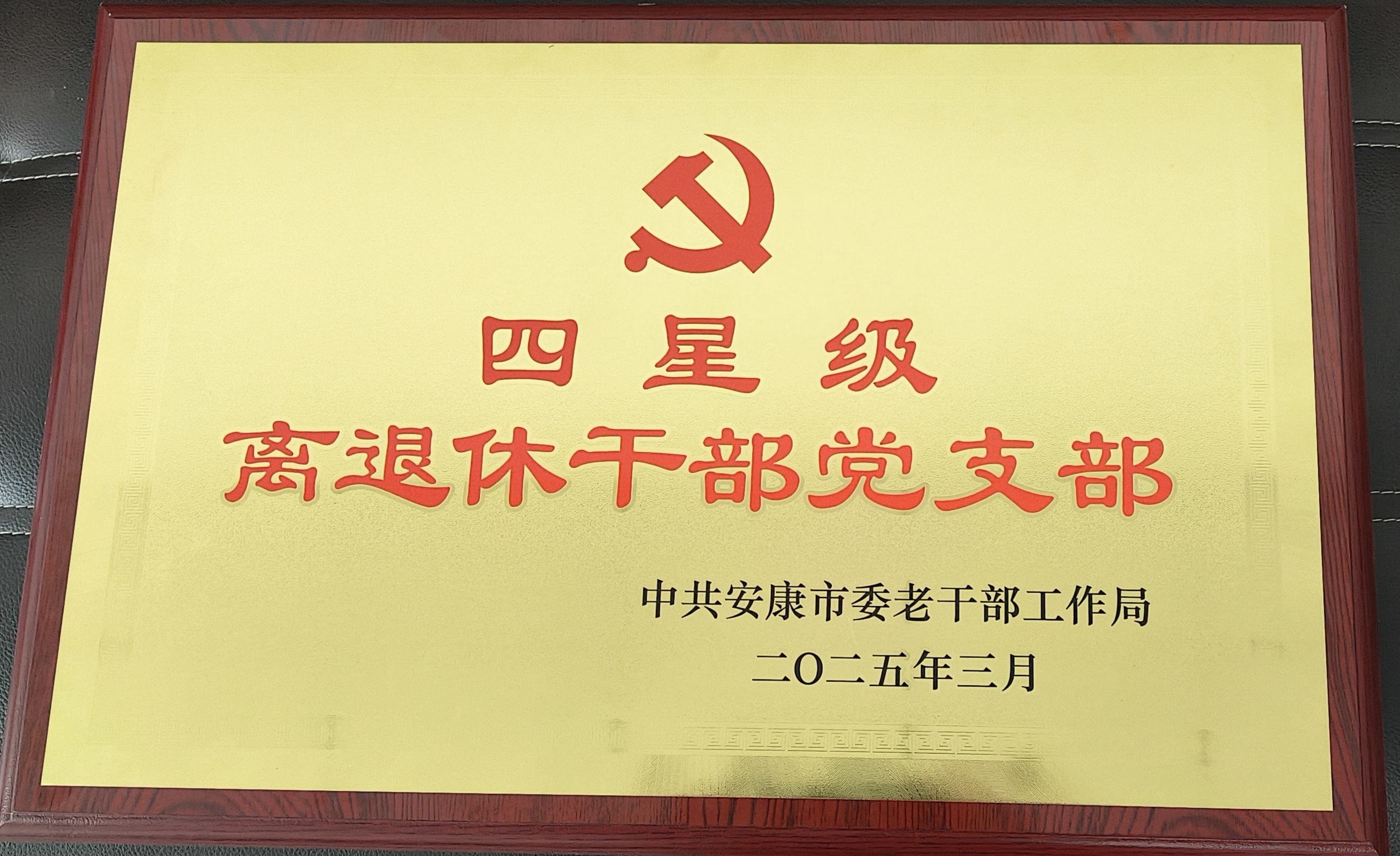 汉阴县档案史志馆退休党支部荣获全市四星级离退休干部党支部称号