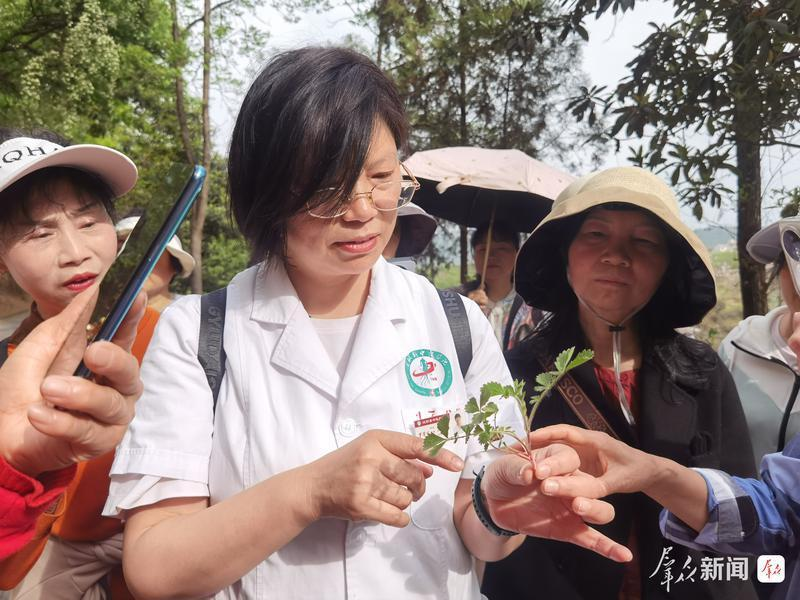 汉阴县：老年大学办起中医保健班