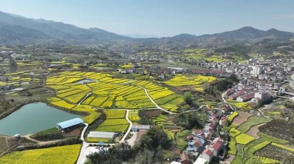 关注丨汉阴县平梁镇：三线建设绘靓景 农旅融合谱新篇
