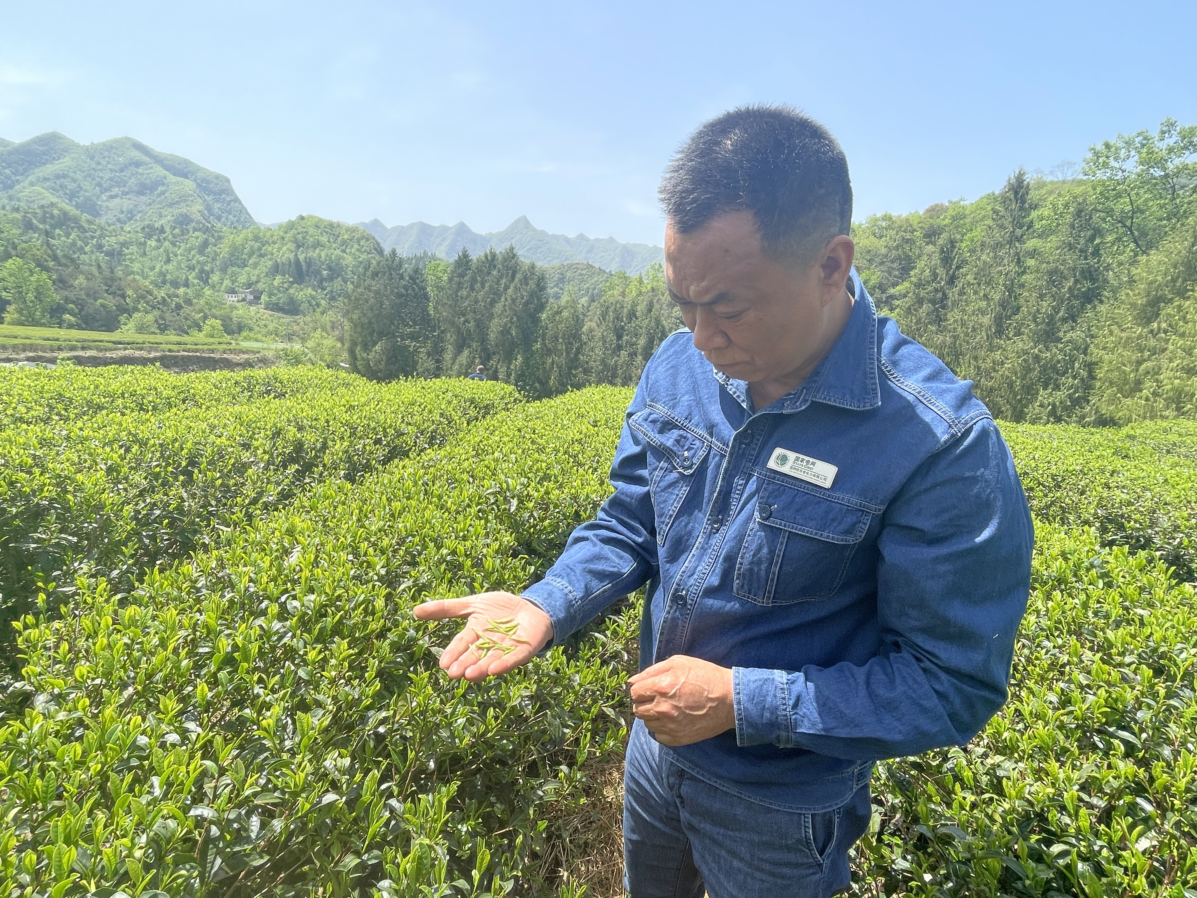 钱书记的“土味”工作法，真顶用！ ——记国网汉阴县供电公司驻村第一书记钱亚洲