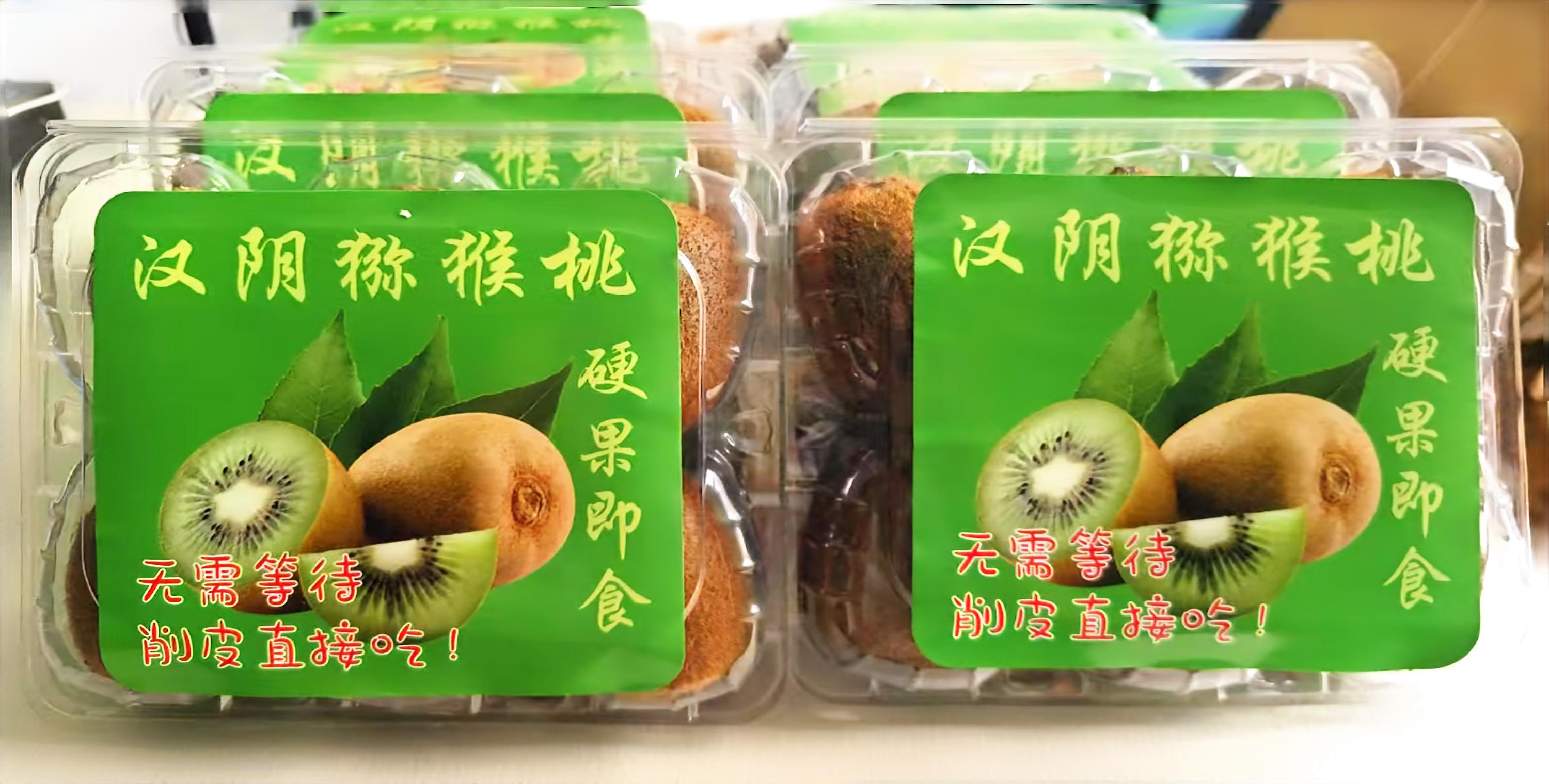 汉阴县首例猕猴桃硬果即食库测试成功