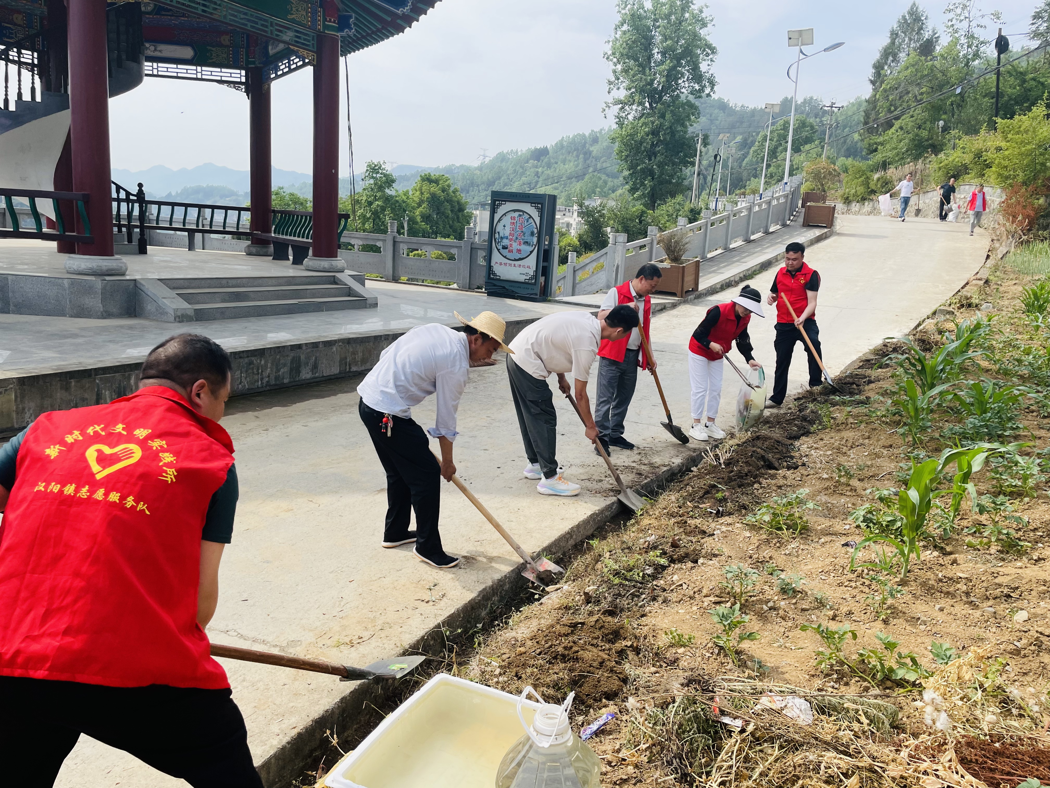 汉阴县汉阳镇：聚力绘就“绿水青山”生态振兴画卷