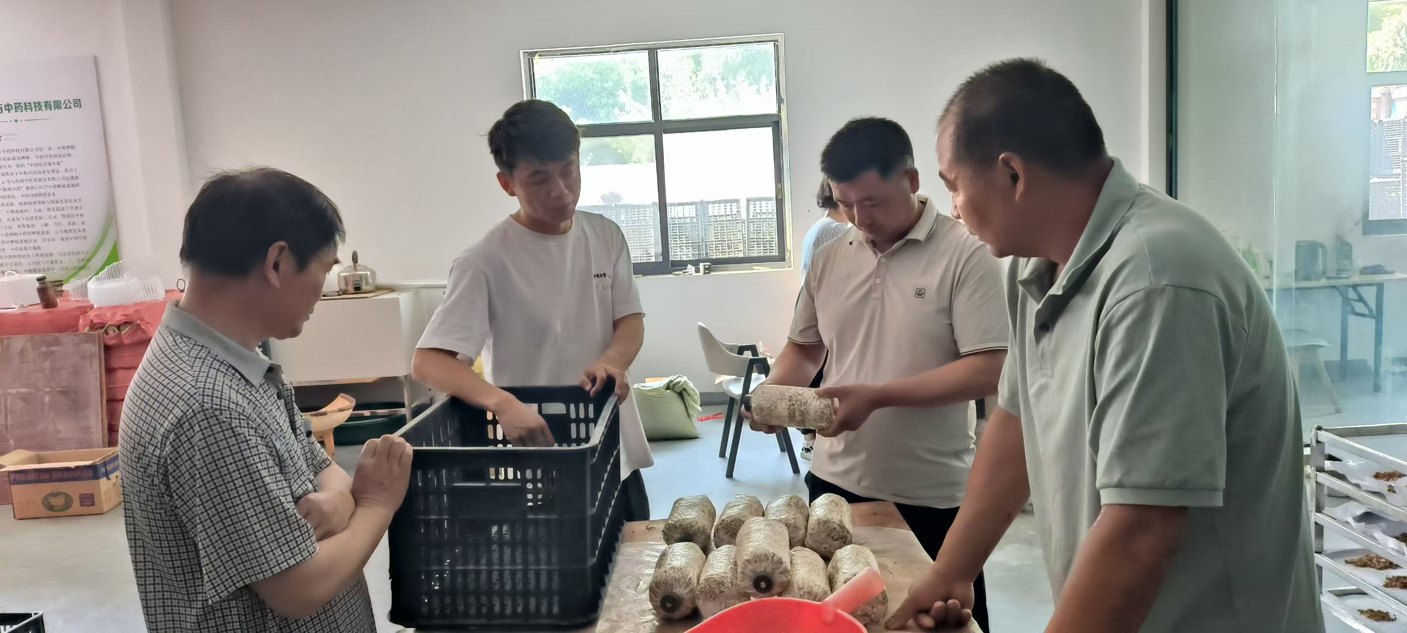 汉阳镇双坪村:考察学习天麻种植技术 探索产业发展新路径