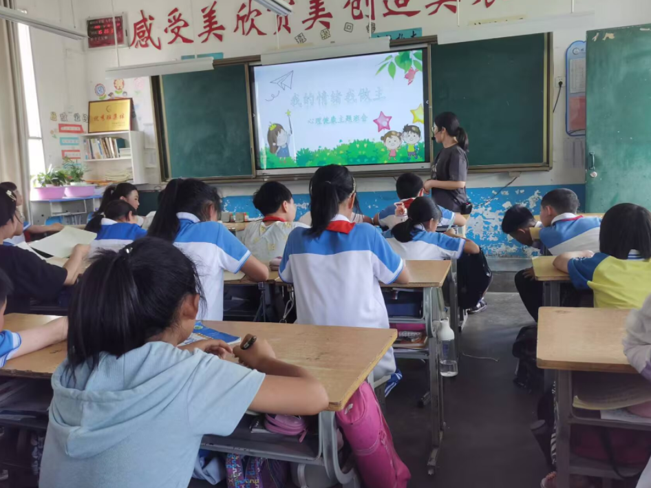 汉阴县双乳镇中心小学开展