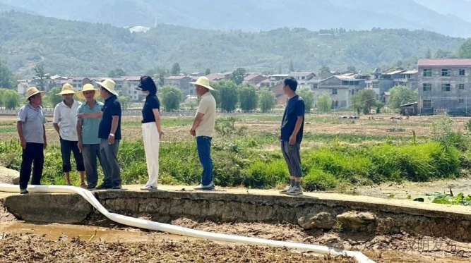 汉阴县双乳镇：干群合力夏种夏收忙