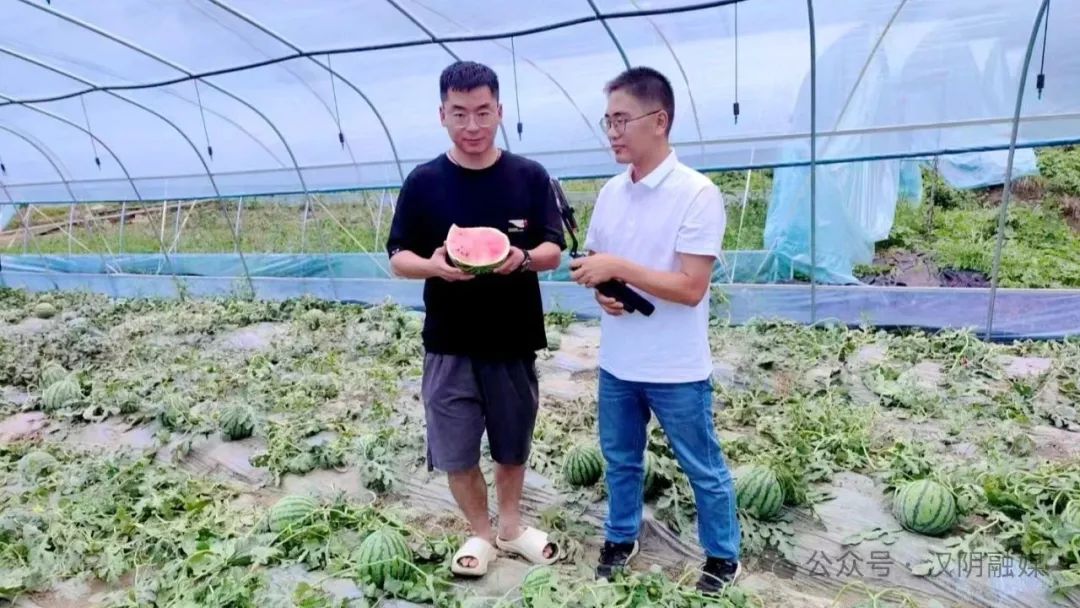 汉阴：“组团服务” 助推产业共兴