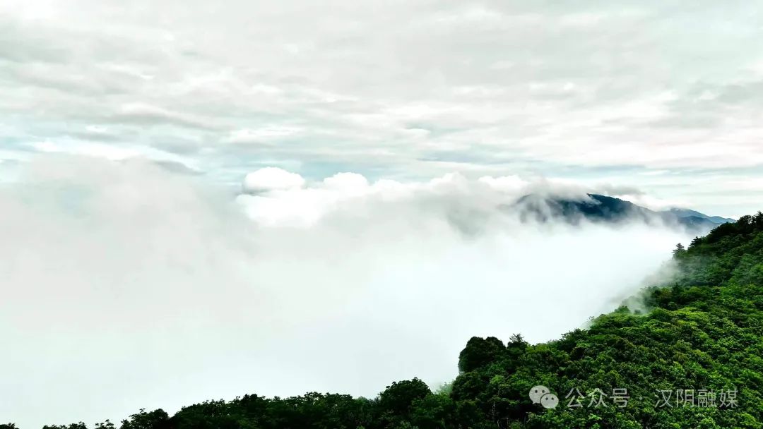 凤凰山绝美云海 邀您共赴夏日梦幻之约