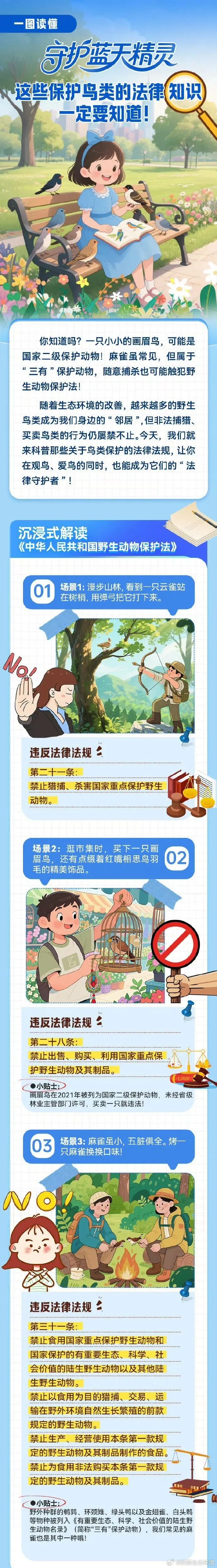 这些保护鸟类的法律知识一定要知道！