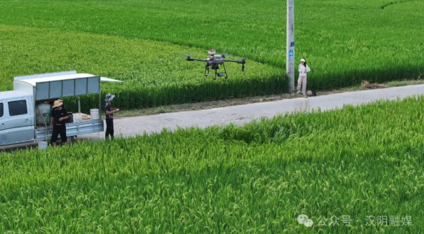 汉阴县城关镇：“空中管家”添翼“智慧农业”