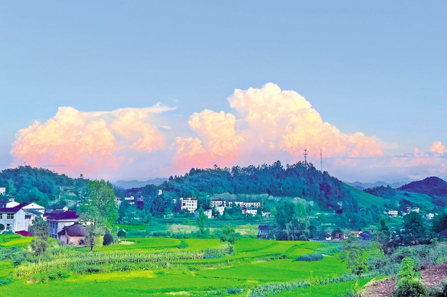夏日茨沟村