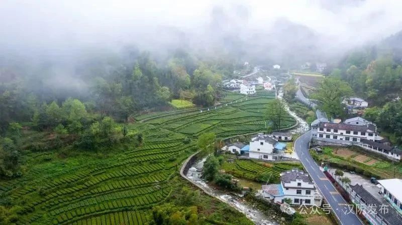 关注 | 汉阴一农民田间学校获评全国优秀