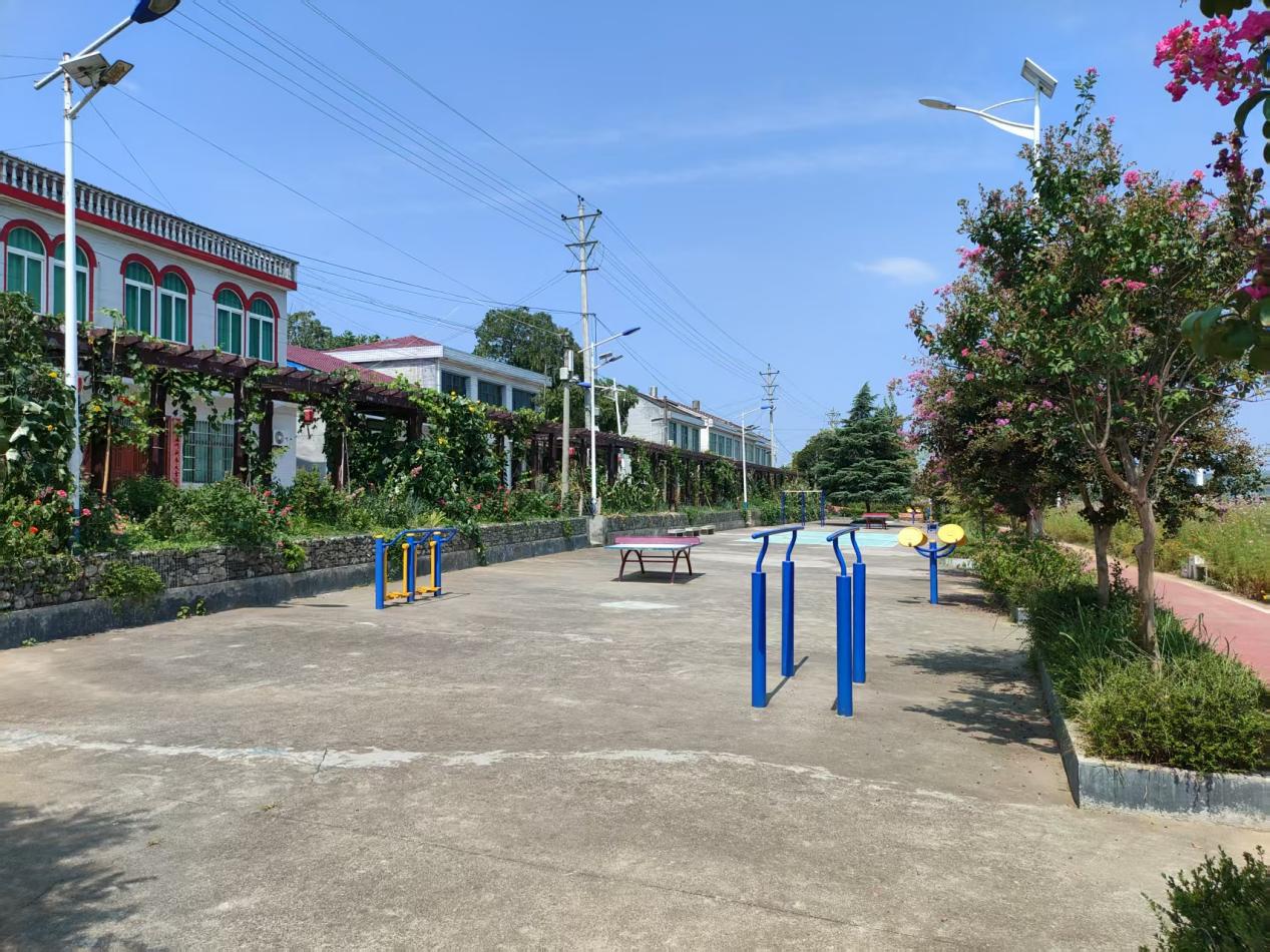 涧池镇枞岭村：生态画卷醉游人