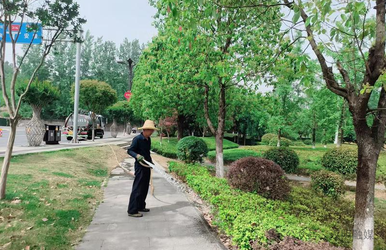  汉阴：精细化养护管理  打造“清凉绿洲”