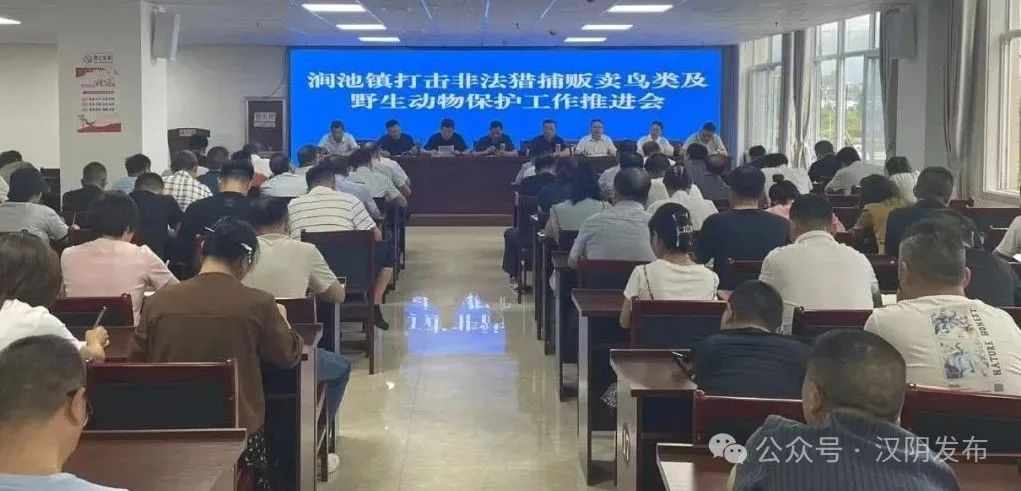 汉阴县涧池镇：多措并举构建野生动物保护坚实防线