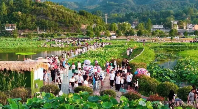 荒田·荷塘·新家园——汉阴县双乳镇二十年生态富民路