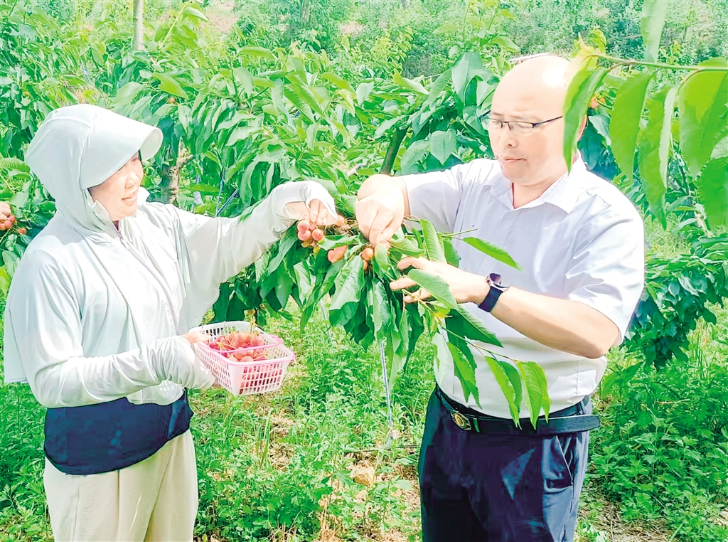 汉阴县：奏响夏日经济发展“奋进曲”