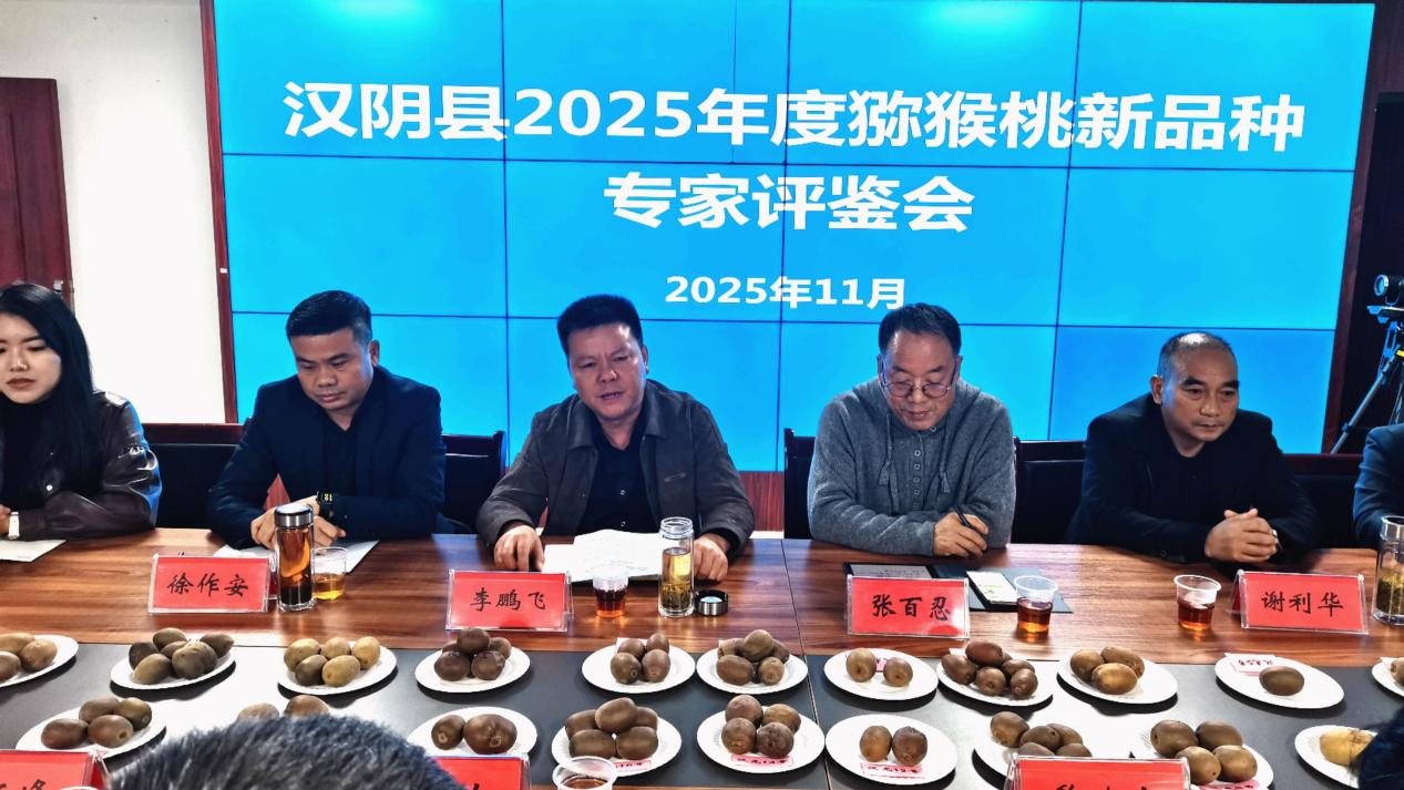 汉阴县举办猕猴桃新品种评鉴会