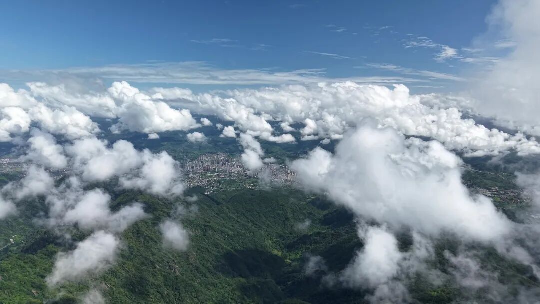 汉阴“护鸟行动”持续深入 打击非法捕猎贩卖守护蓝天精灵