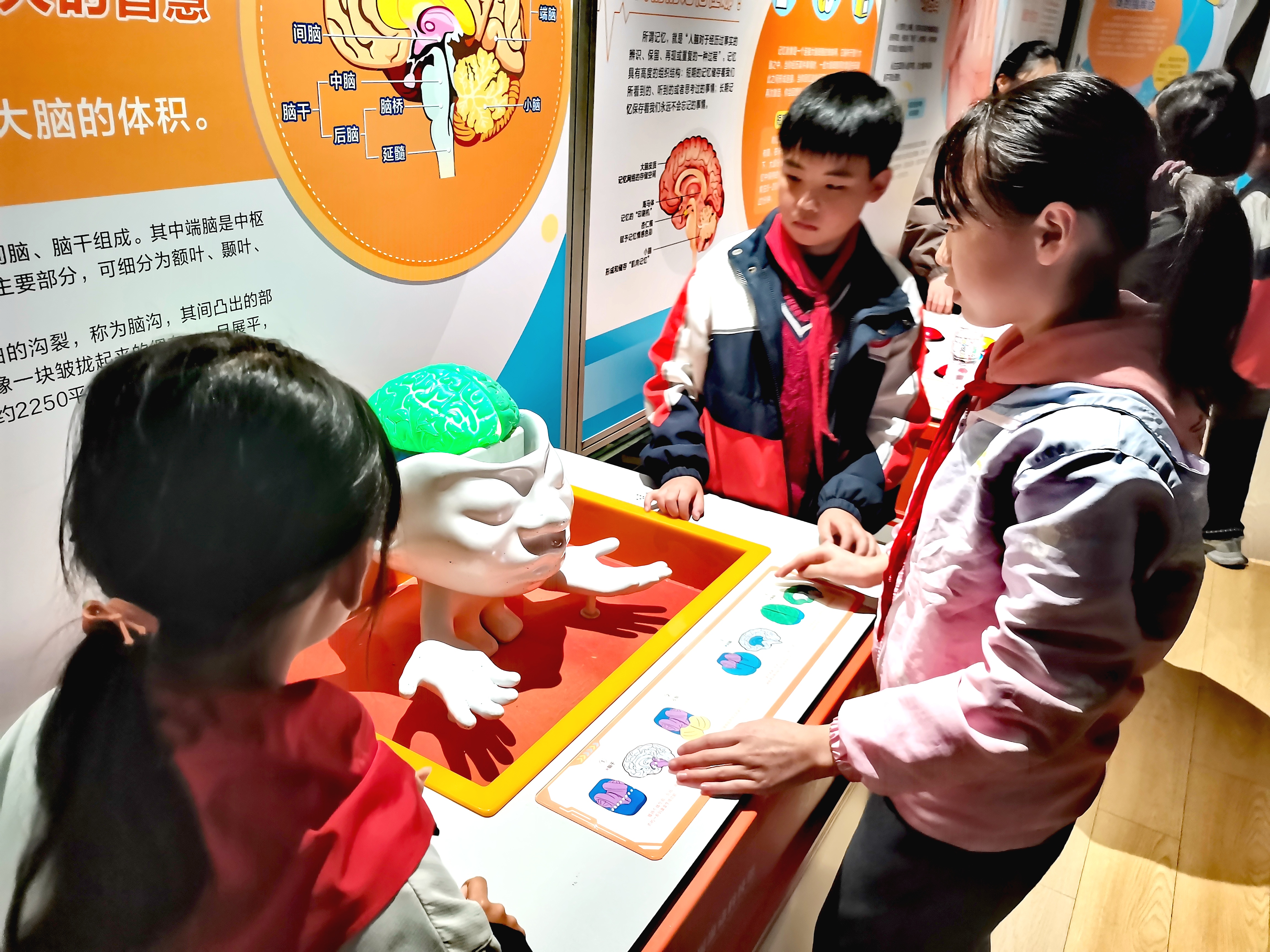 汉阴县第二小学巧用科技馆打造沉浸式第二课堂