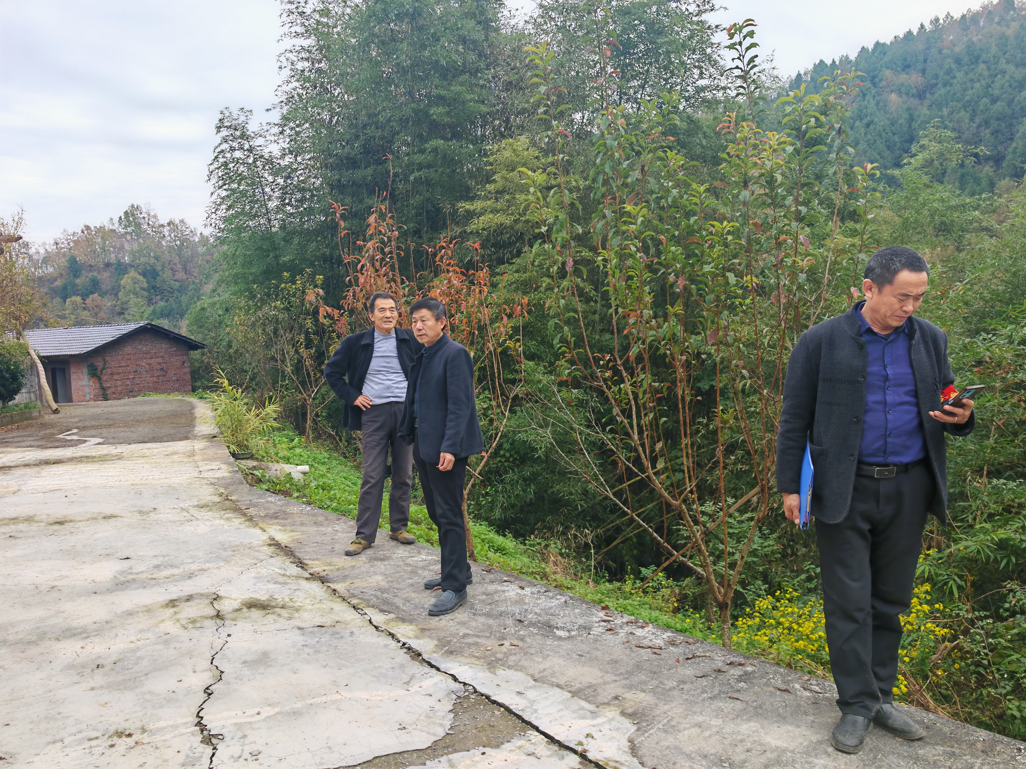 汉阴县汉阳镇：下好土地流转“先手棋” 夯实千亩烤烟“丰收基”