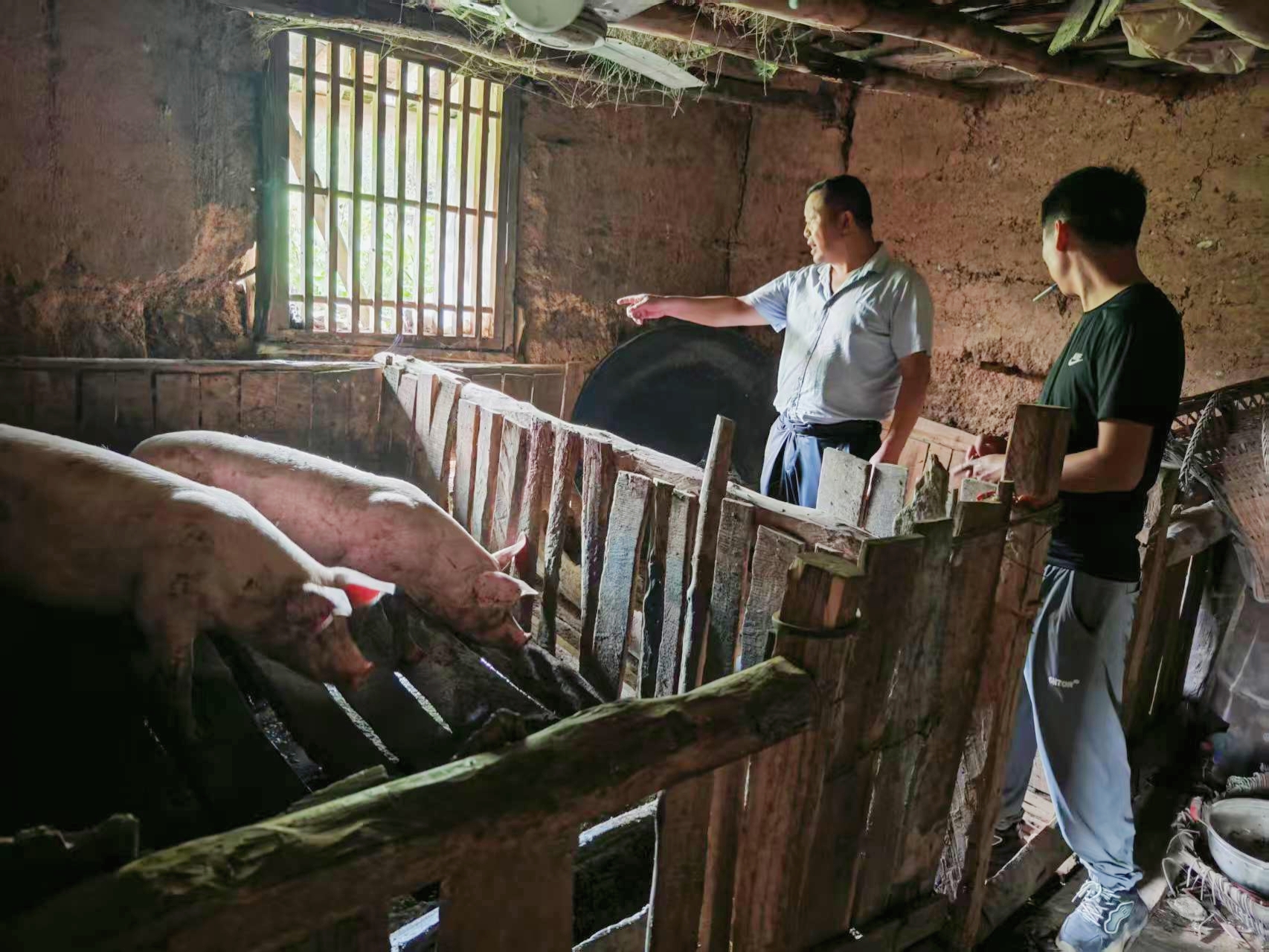 汉阳镇：扎根基层办实事 情系畜牧暖民心