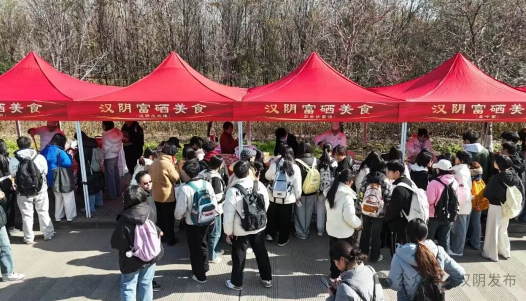 “第一书记组团行·汉阴好物最安康”暨汉阴文旅推介活动走进企业高校