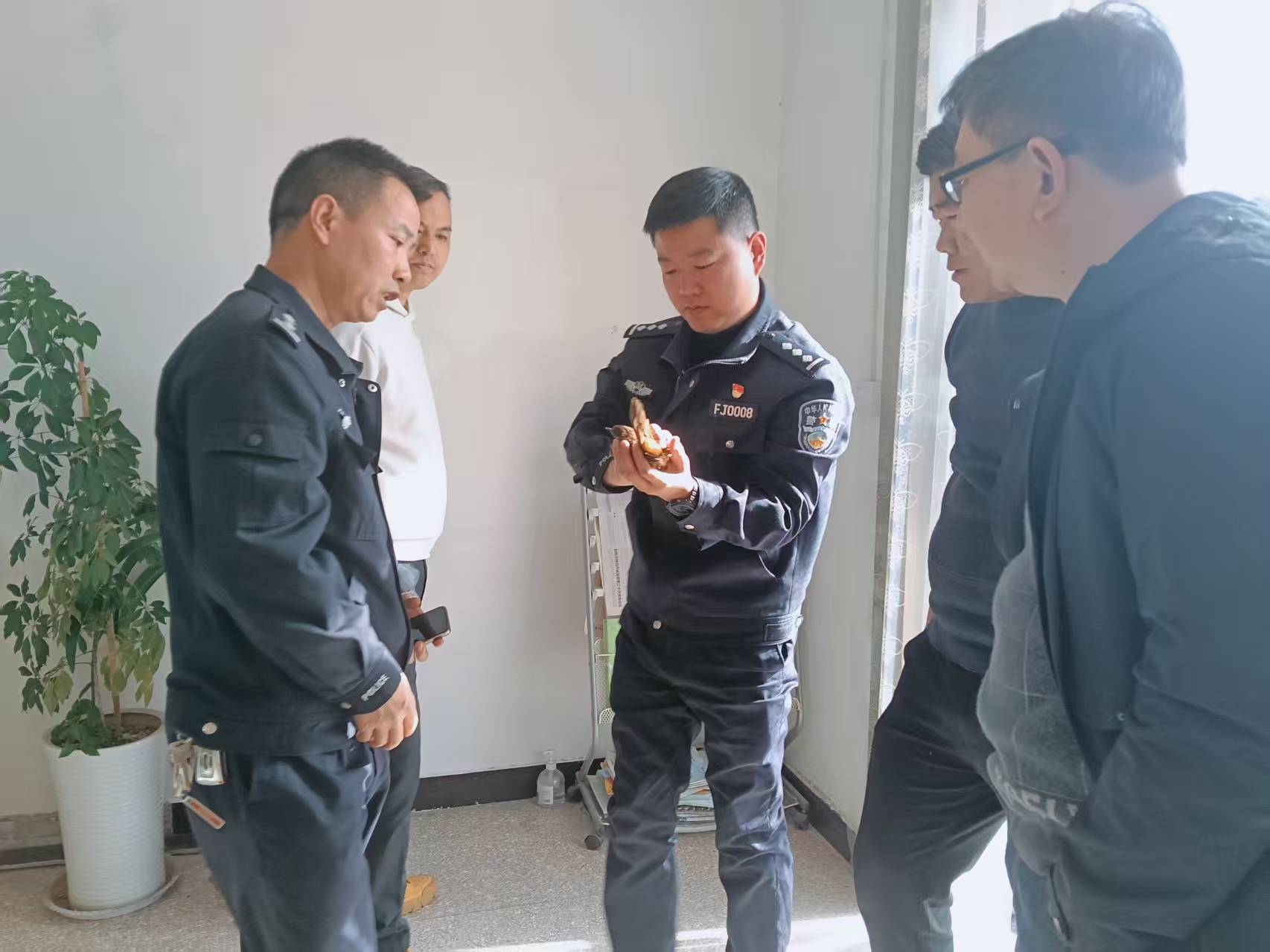 汉阴县涧池镇：暖心守护“迷途”画眉 共建和谐生态家园