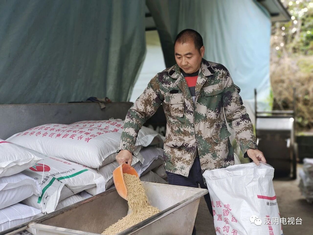 向双华：雁归双坪筑梦 实干兴村领航