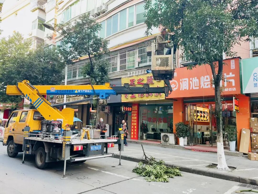 汉阴：寒冬护绿正当时 筑牢城市生态屏障