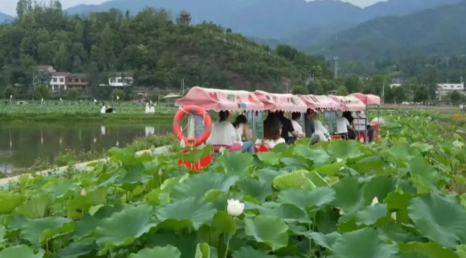 汉阴：创新旅游业态 绘制文旅融合新图景