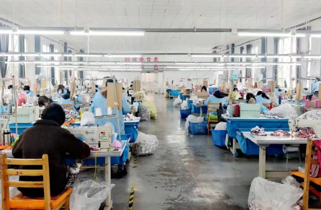 汉阴：深耕服务兴产业 厚植沃土引“凤”栖