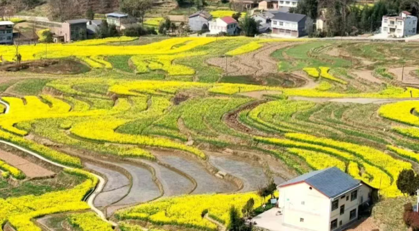汉阴《抱瓮之乡 凤堰梯田》斩获“水美中国”专题赛优秀作品奖