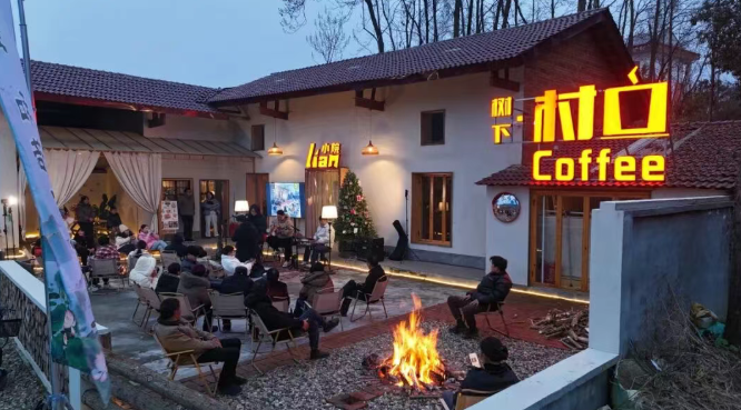 元旦打卡汉阴千亩荷塘 咖啡+音乐解锁假日惬意