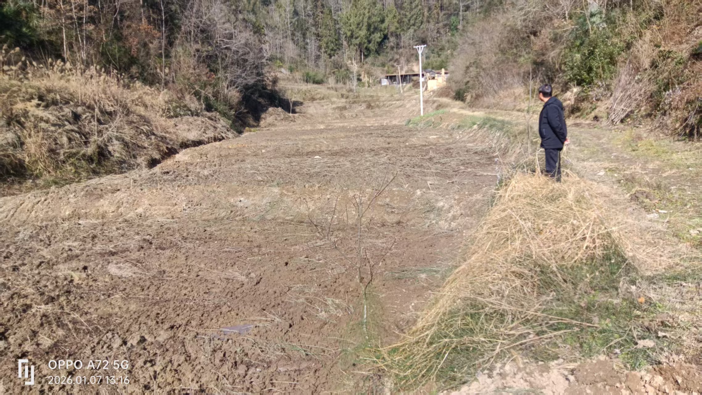 汉阳镇：技术员田间“把脉” 烤烟备耕开好局