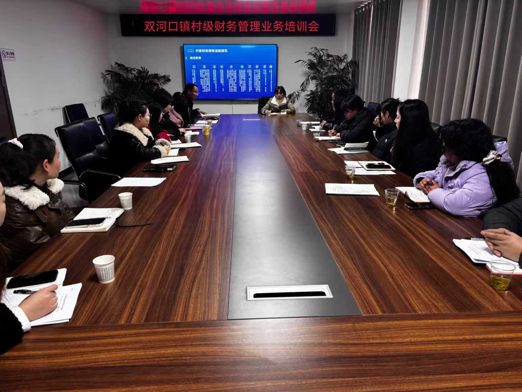 双河口镇开展村级财务管理业务培训会