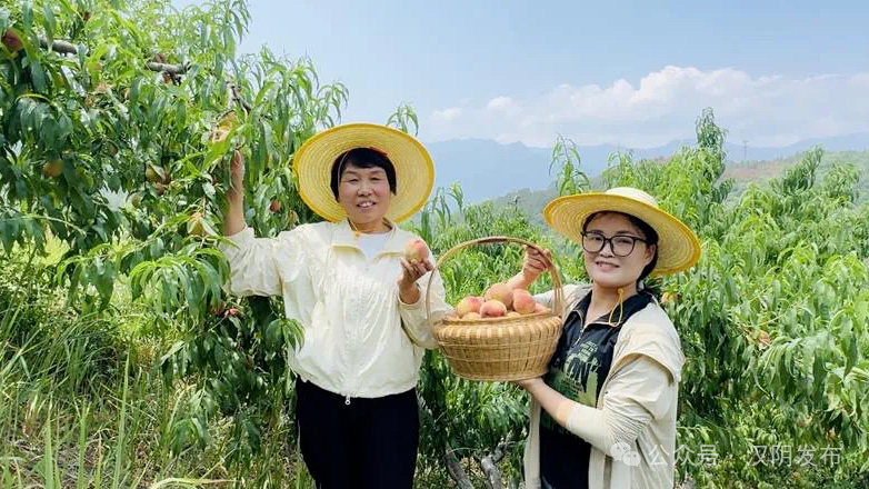 看汉阴这些村如何蹚出振兴路——蒲溪镇盘龙村