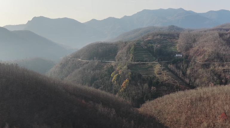 汉阴守护绿水青山 绘就富民画卷