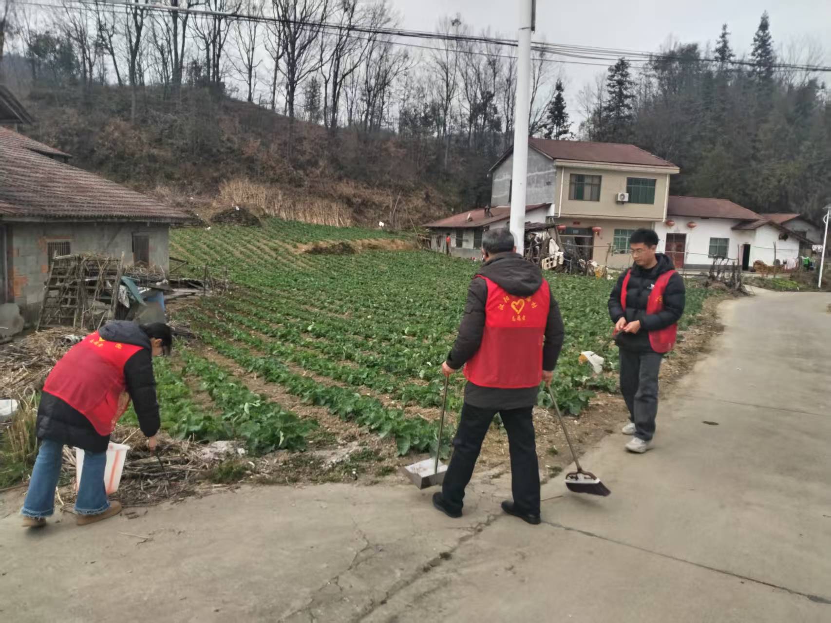 汉阳镇白庙村：守护美丽家园 白庙村在行动