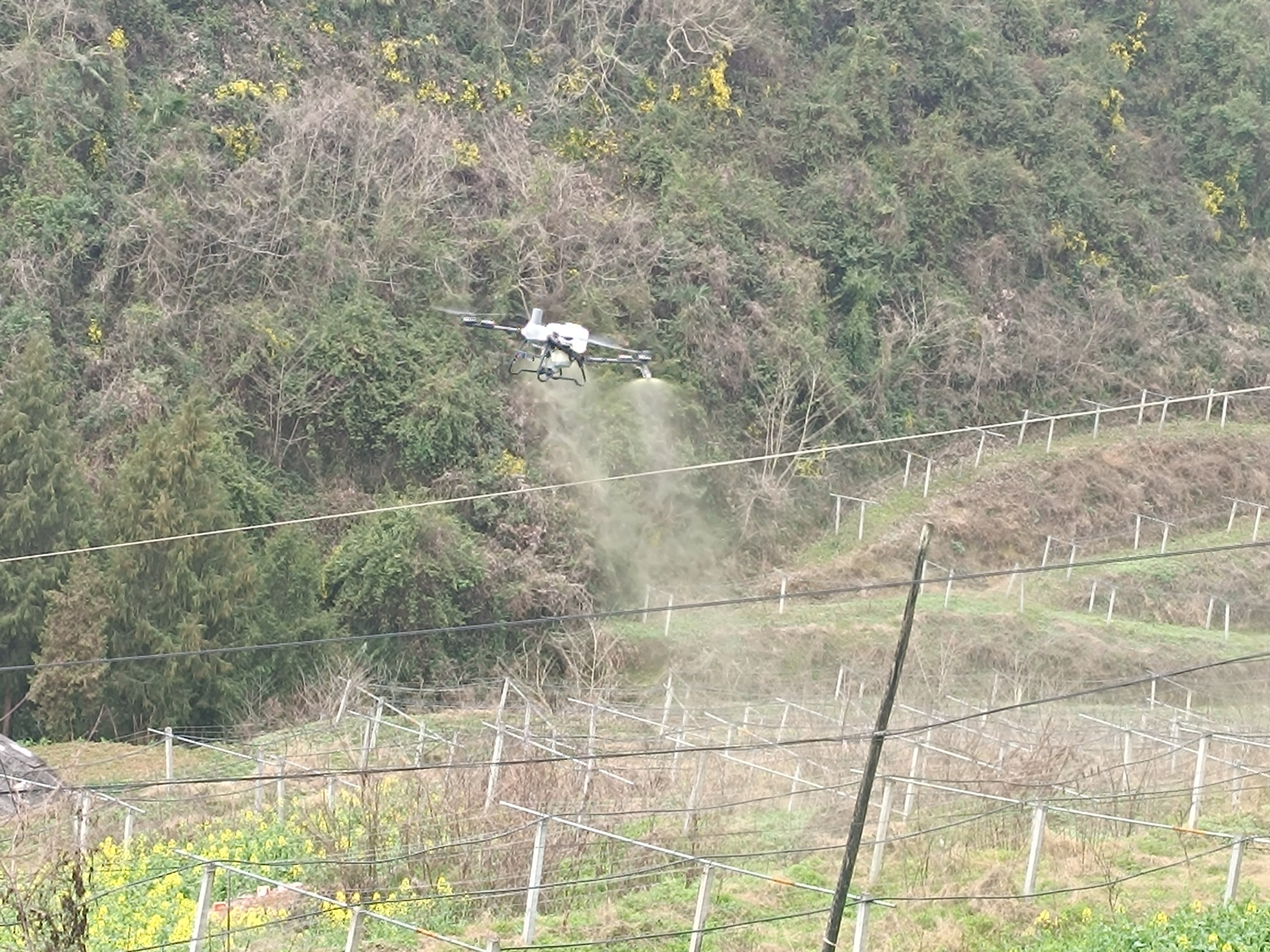 汉阴县漩涡镇三塘村无人机喷药助力春耕生产