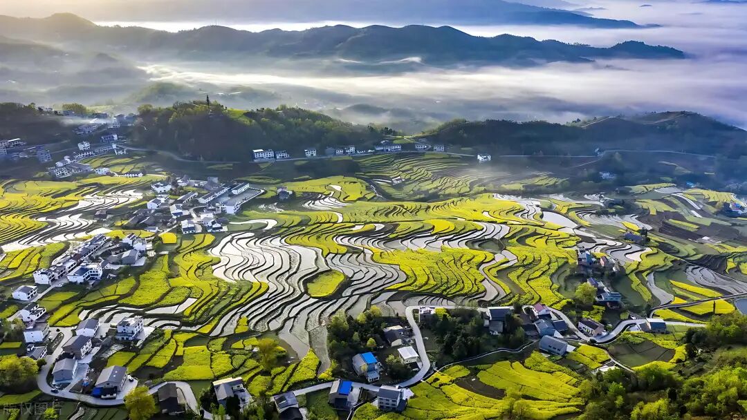 请查收！来自漩涡镇茨沟村的金色请柬